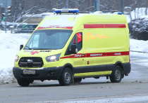 Две девушки погибли в ночь на четверг в ДТП на Новорязанском шоссе