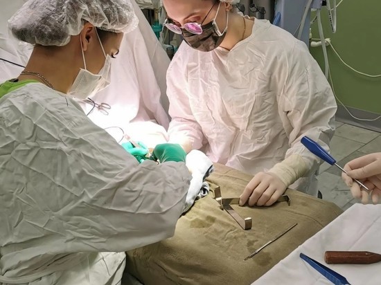 Ярославские врачи провели уникальную операцию по восстановлению кисти руки