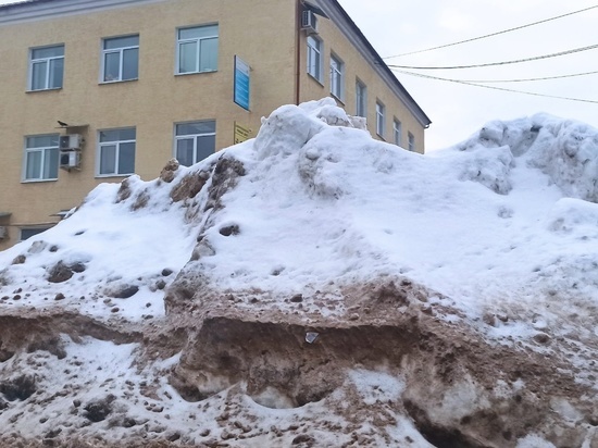 В Тамбовской области 7 чиновников ткнули лицом в сугробы и скользкие тротуары