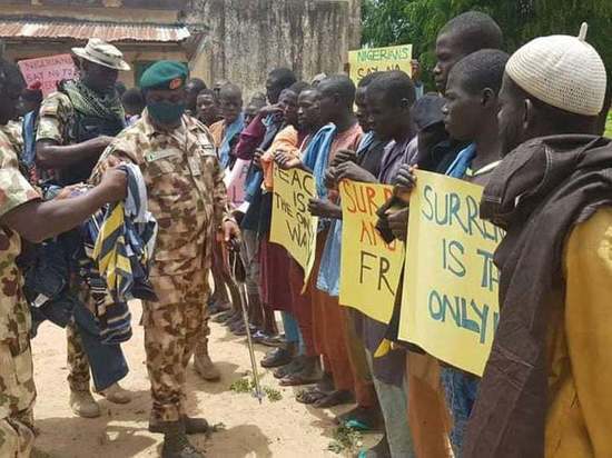 В Нигерии более двухсот боевиков "Боко Харам" сдались правительственным войскам