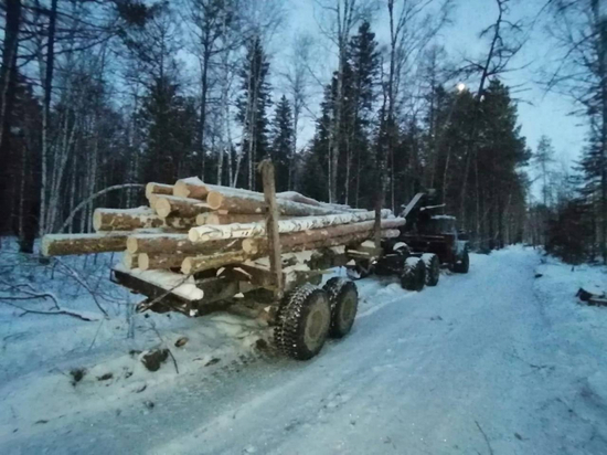 Лесосибирский бизнесмен подозревается в контрабанде леса в Азию на 6,1 миллионов рублей