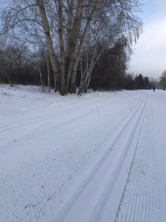 На острове Татышев в Красноярске сделали лыжные трассы