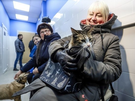 В Ожерелье открыли новую государственную ветлечебницу