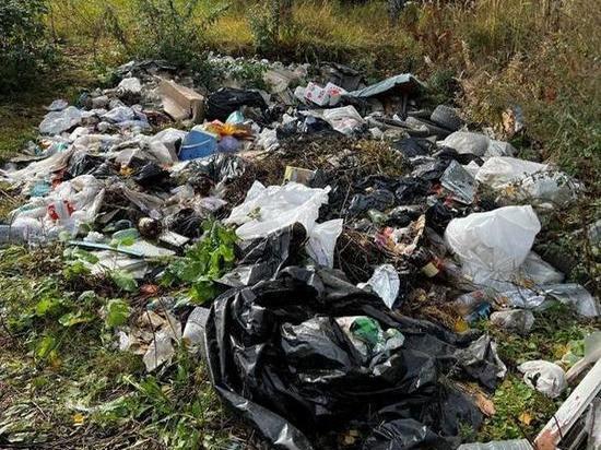 В Ивановской области в одном из лесничеств обнаружены мусорные свалки