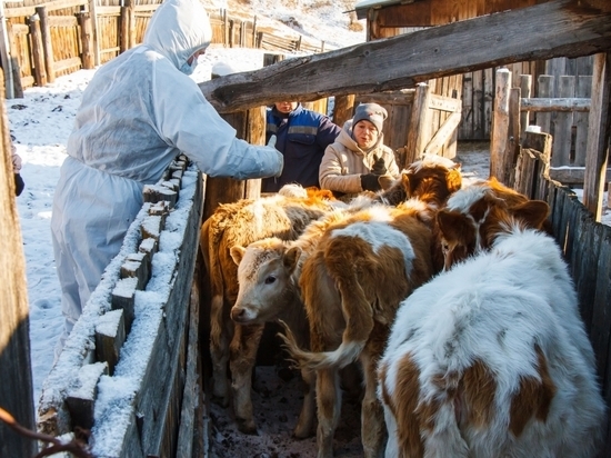 В Бурятии закупили 52 холодильника для ветеринарных вакцин
