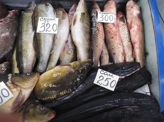 Саратовцы удивлены дороговизной рыбы