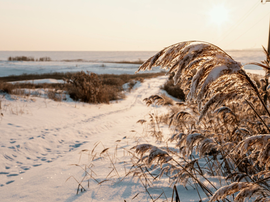 Жителям Хакасии пообещали возвращение морозной погоды с 31 января