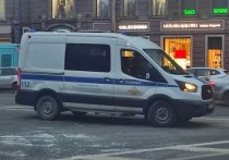 Ночная облава на нелегальных мигрантов прошла 27 января в Василеостровском районе города. По словам местных жителей, рабочие выскакивали из бытовок в одном исподнем.