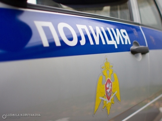 Полиция Петрозаводска нашла мужчину, напавшего на девушку