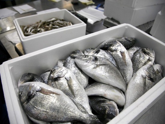 В Шатуре благодаря рыбоводному хозяйству появится 53 рабочих места