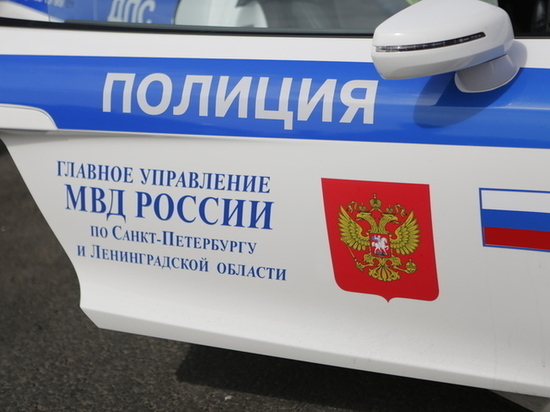 Петербуржец сбил четырехлетнего мальчика в Курортном районе
