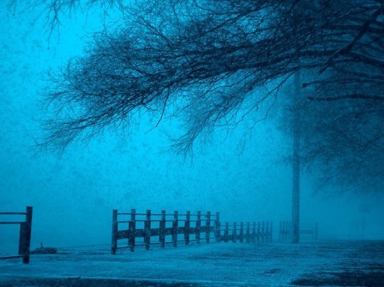 Синоптики обeщaют 29 янвaря в Смолeнскe снег