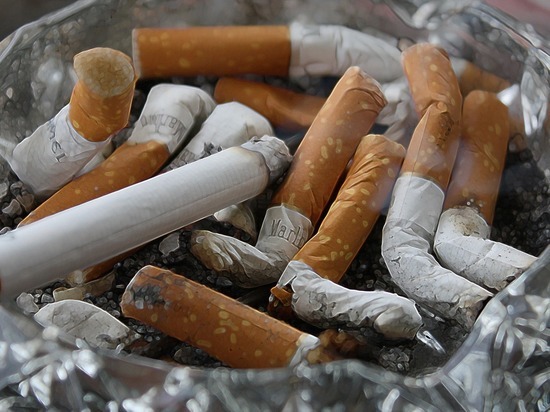 Число курильщиков среди россиян снизилось более чем на 20 % почти за 15 лет