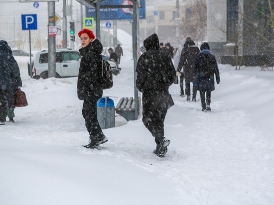 Небольшой снег пройдёт в Омской области 29 января