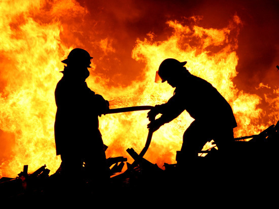 Восемь пожарных около часа тушили хозяйственные постройки в Сосновом Бору