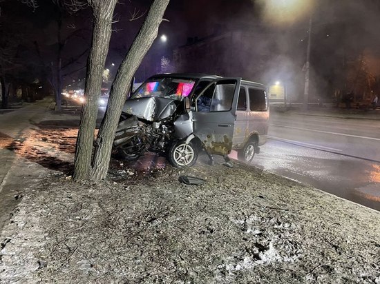 В Воронеже в результате столкновения микроавтобуса с деревом пострадал злостный нарушитель ПДД и его пассажирка