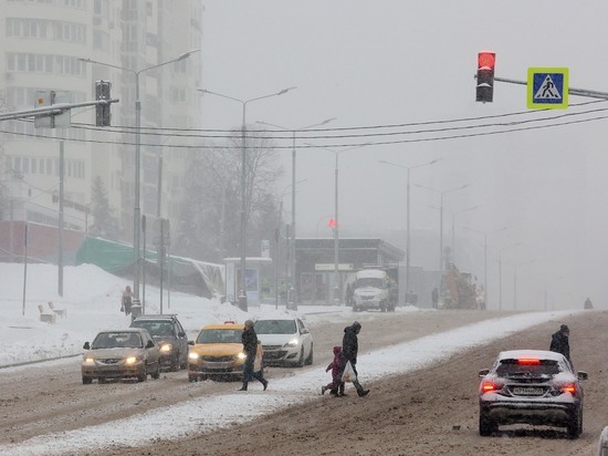 С обильных снегопадов начнется рабочая неделя в Москве и области, и весь этот выпавший снег грозит превратиться в кашу к предстоящим выходным - в регионе потеплеет до +2 градусов
