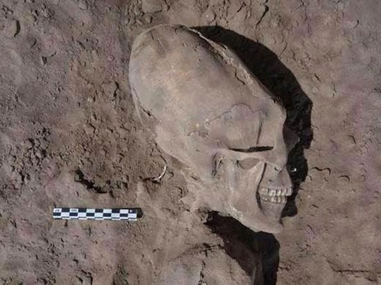 На древней стоянке в Китае нашли 11 скелетов с вытянутыми черепами