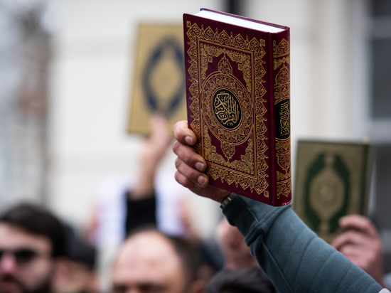 Глава МИД Финляндии: Москва могла «приложить руку» к акции сожжения Корана в Швеции