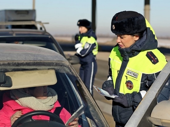 Под Волгоградом автомобилистам напомнили о правилах перевозки детей