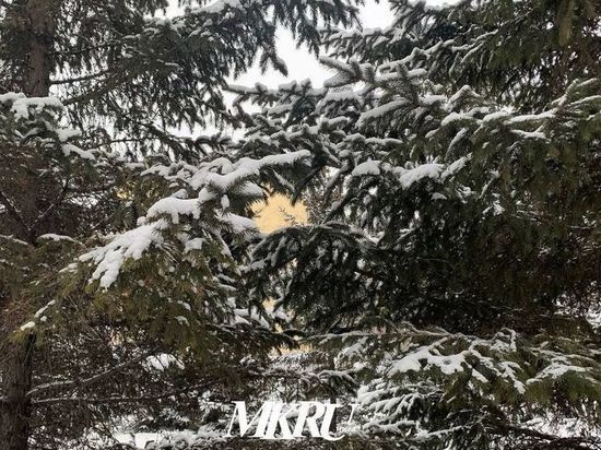 Потепление до «минус» 5 градусов ожидается в Забайкалье 30 января