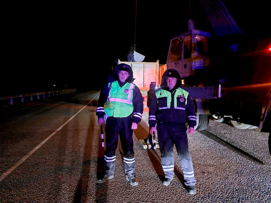 В Воронежской области водителю грузовика с серьёзной поломкой помогли инспекторы