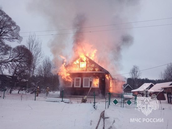 С начала года пожары в Новгородской области унесли жизни восьми человек
