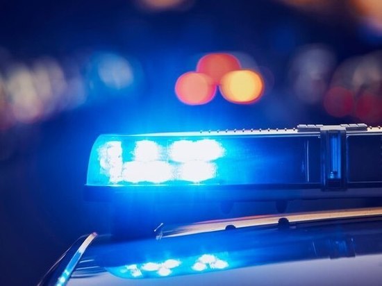 В Липецкой области пьяный водитель пытался откупиться от инспекторов ГИБДД взяткой после ДТП