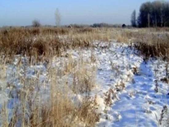 В Тамбовской области 225 гектаров плодородной земли поросли травой