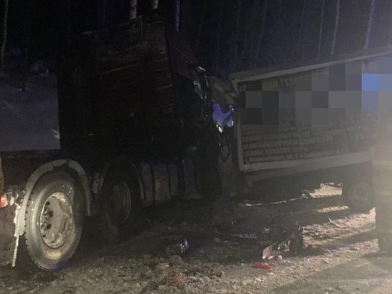В Новосибирской области при столкновении двух грузовиков скончался мужчина