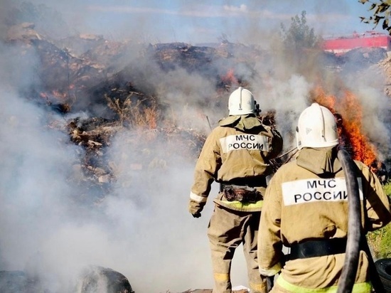 За прошедшую неделю в Калмыкии зарегистрировано 14 пожаров