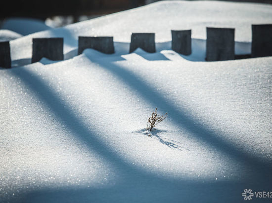 Больше трети месячной нормы снега выпало за сутки в Кемерове