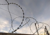 По данным телеграм-канала Mash, в Татарстане разыскивают двоих уголовников-рецидивистов, которые сбежали из психиатрической больницы