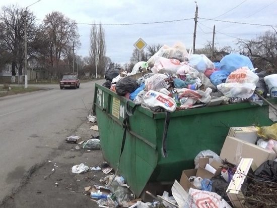 Компанию по обустройству мусорных площадок внесли в реестр недобросовестных поставщиков