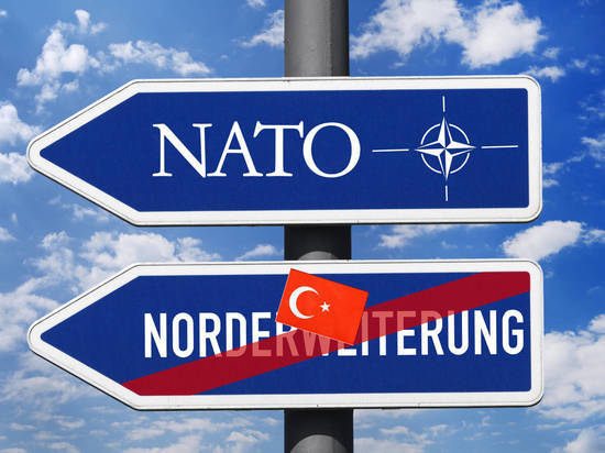 Финляндия немедленно связалась с Турцией после заявления Эрдогана о Швеции