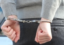 В Боровичах сотрудники полиции задержали двоих местных жителей, которые подозреваются в незаконном обороте наркотиков. Возбуждено уголовное дело.