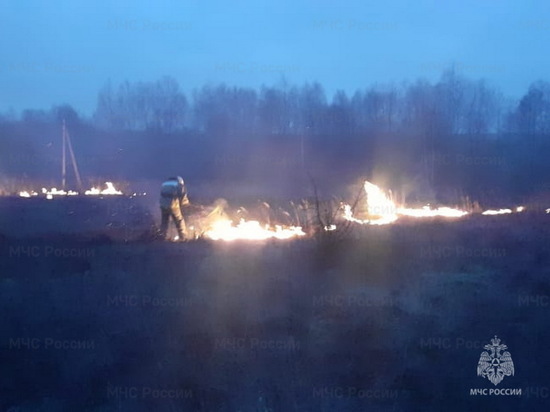 В Курской области с начала года 15 раз тушили горящую сухую траву