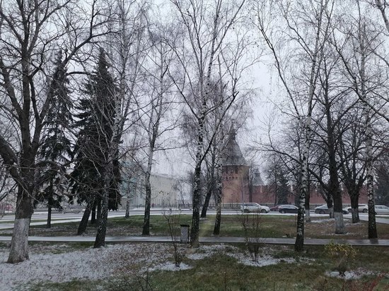 Февраль в Центральной России начнется с мартовской погоды