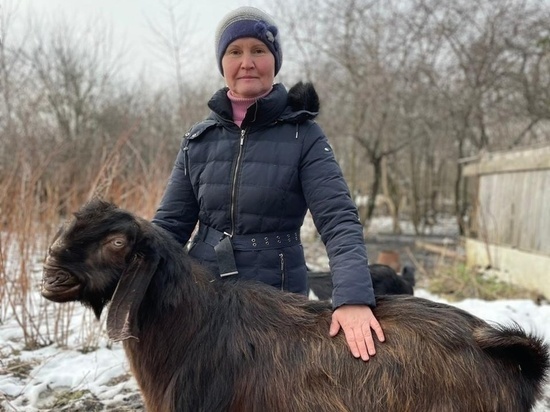 В Курской области инженер и преподаватель музыки занялись разведением коз