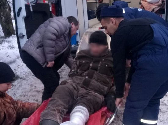 В Кыштыме на лесоруба упало дерево