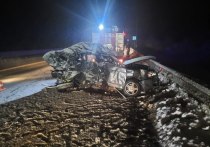 На трассе М-10 в Новгородской области произошло ДТП, в котором погиб молодой человек. Он не справился с управлением и попал под колеса грузовика.