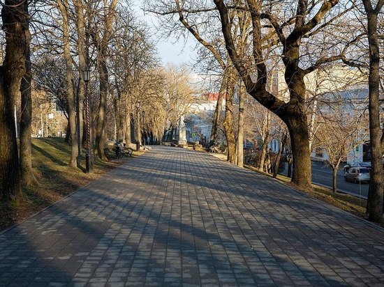 В Ставрополе устроили ревизию старым деревьям на Ермолова