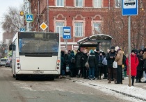 В Калининграде на двухлетнего ребенка, споткнувшегося на дороге, наехал водитель автобуса