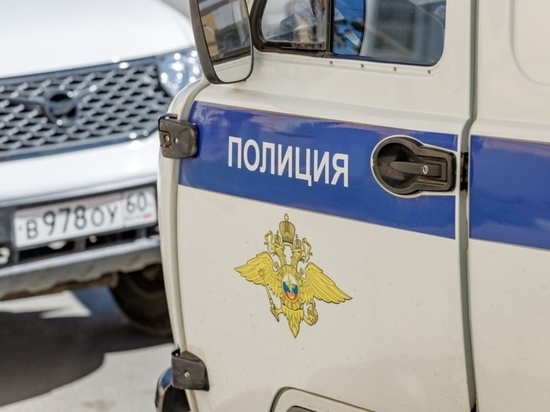 Двоих пьяных водителей в Псковской области вновь задержали за нетрезвую езду