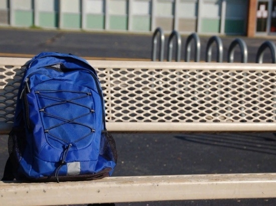 В Ярославле ищут двух похитителей школьного рюкзака
