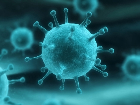 РИА: в Испании произошла вспышка птичьего гриппа, представляющего угрозу для людей