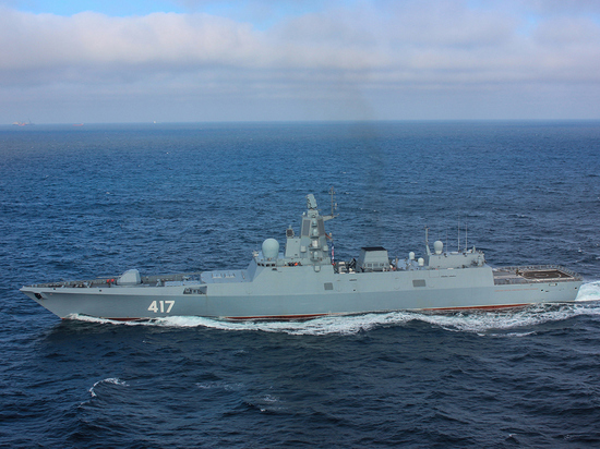 Российские корабли во главе с "Адмиралом Горшковым" спасли француза и собаку