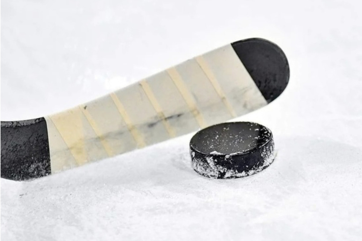 В АХЛ установили мировой рекорд, выбросив на лед более 67 тысяч игрушек