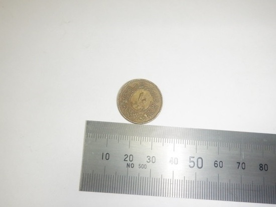 Больше 4 килограммов столетних монет пыталась вывезти контрабандистка через псковскую таможню
