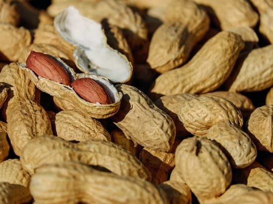 Нутрициолог перечислила самые полезные для здоровья орехи